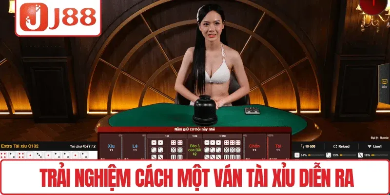 Trải nghiệm cách một ván Tài xỉu diễn ra